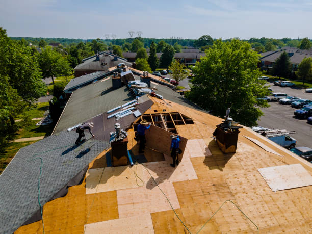 Best Roof Repair Services  in Inkster, MI