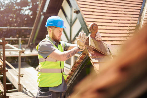 Best Emergency Roof Repair  in Inkster, MI