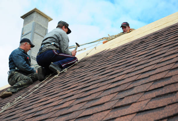 Best Local Roofing Companies  in Inkster, MI